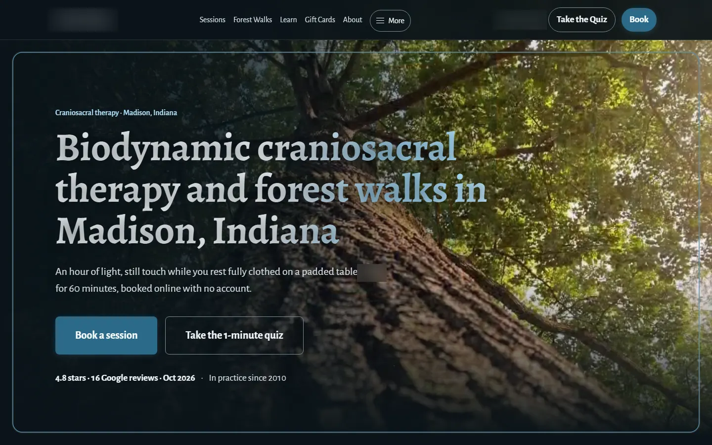 Concept website hero reading Biodynamic craniosacral therapy and forest walks in Madison, Indiana over a tall tree trunk in green forest light