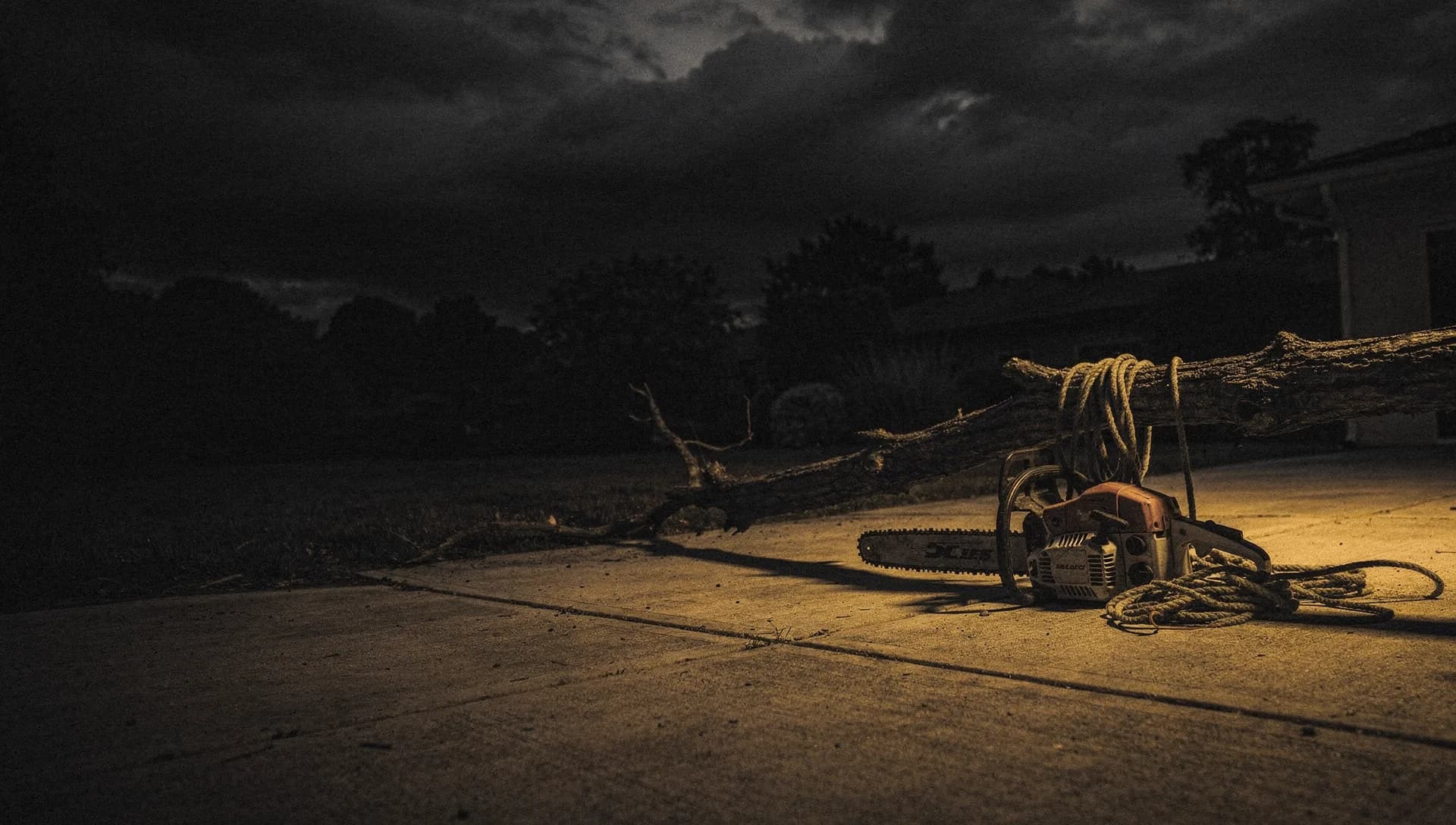 At dusk a gold light catches a large fallen limb across a driveway with a chainsaw and climbing rope resting on it, sawdust on the pavement, the left side falling into shadow.