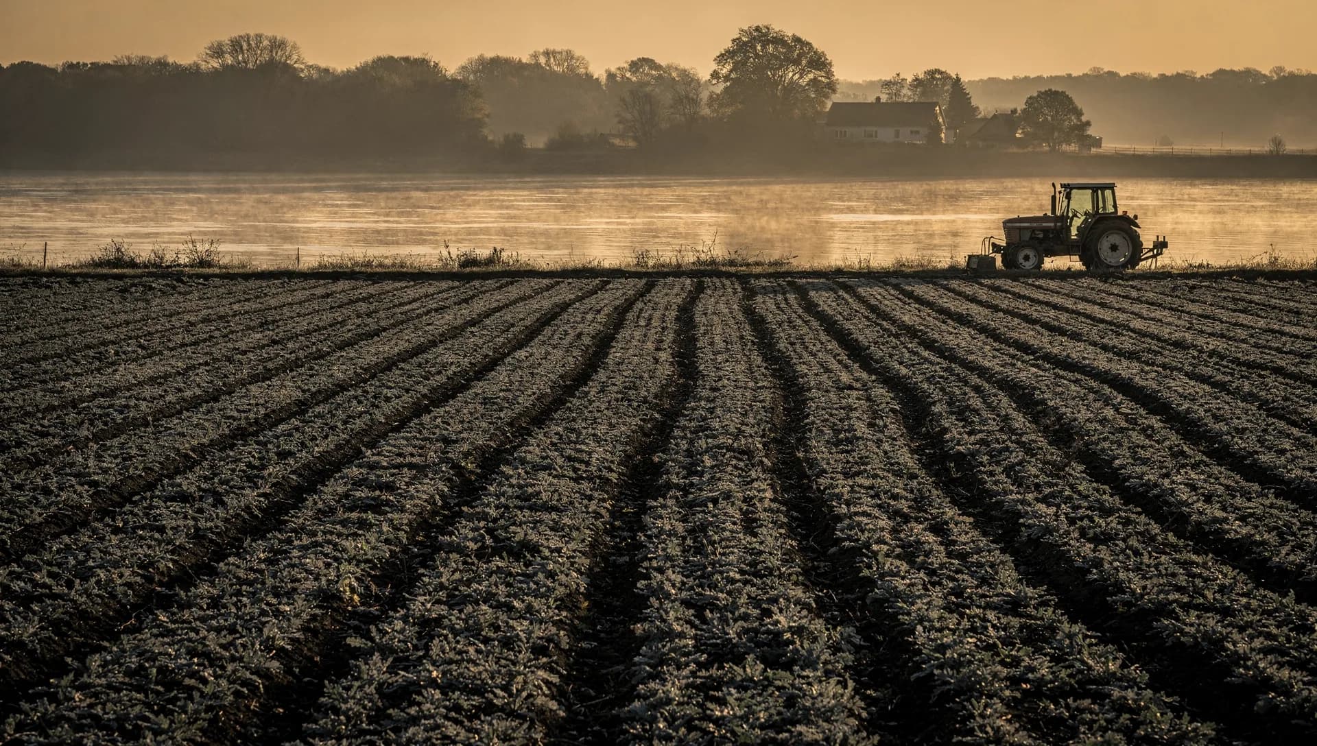 Frosted crop rows running to a misty river bend at sunrise, a tractor at the field edge and a farmhouse on the far bank