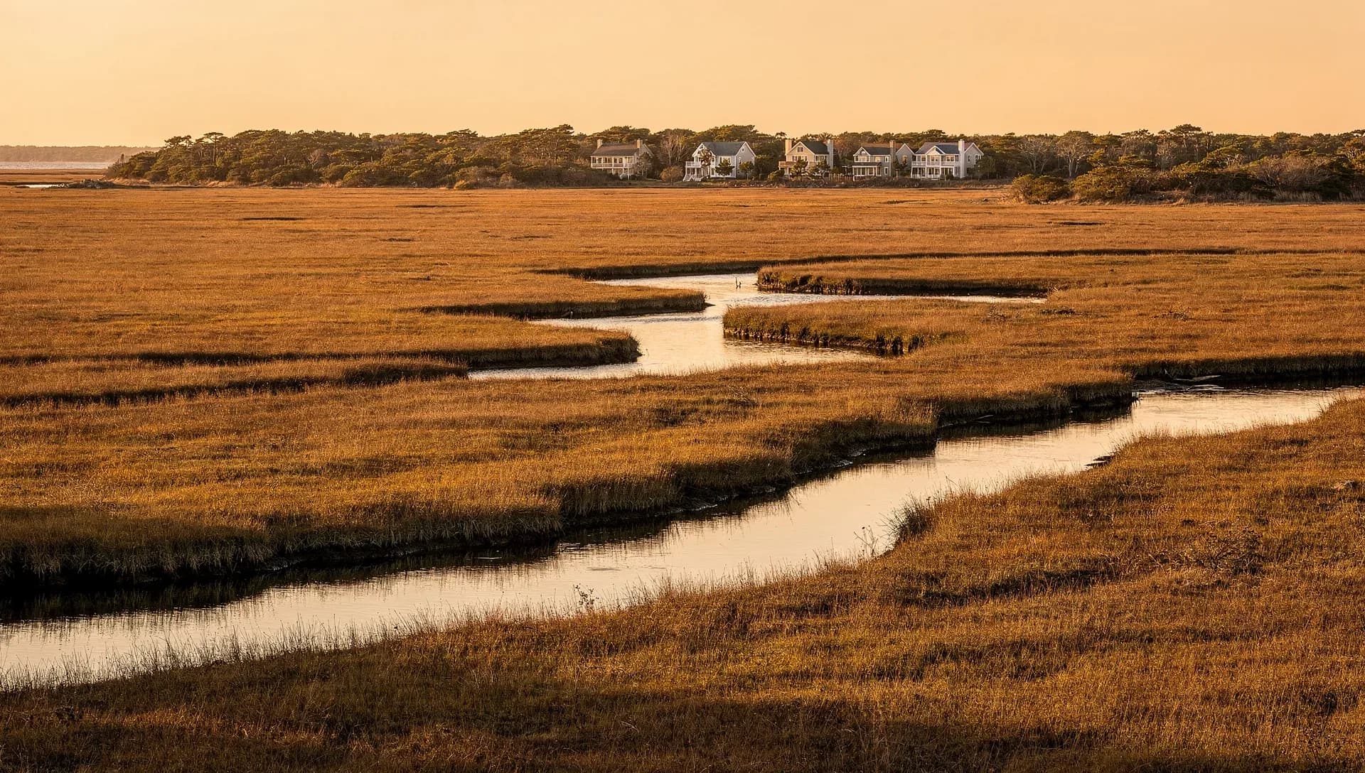 A tidal salt marsh at golden hour with winding channels of water cutting through tawny marsh grass, a row of large shingled houses on a wooded point along the horizon under a warm amber sky